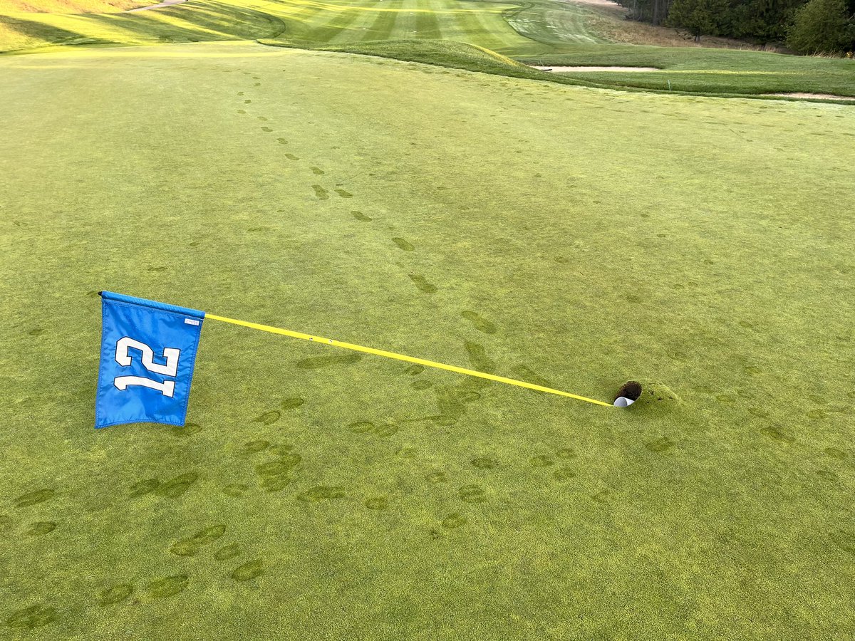 Ryan Gordon tweet media