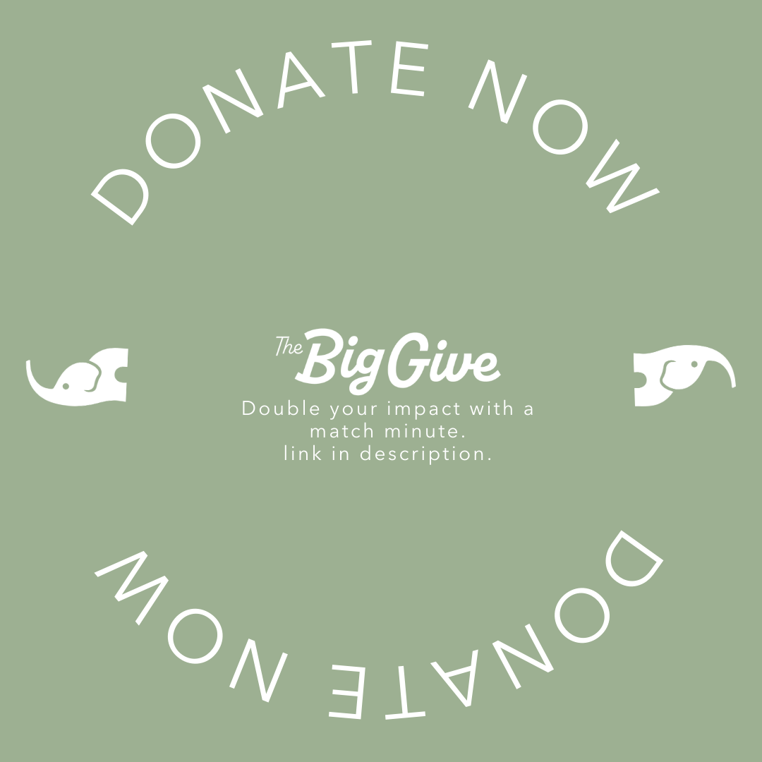 Time for another ... MATCH MINUTE!

Donate now, and your contribution could be doubled!

Donate here: thebiggivesa.org/organizations/…