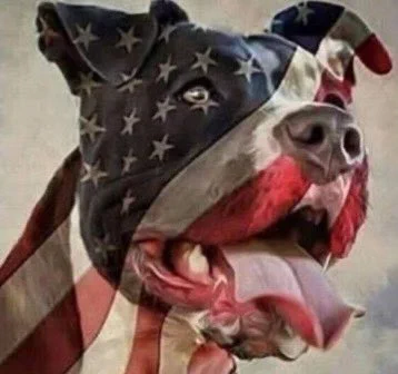 Arshad Sharif Legacy tweet media