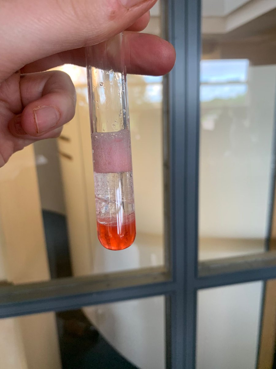 DeltaDartonScience (@dartondelta) on Twitter photo Our future scientists in #STEMclub extracted DNA from strawberries today. <a href="/DeltaDarton/">Darton Academy</a> #ProudofDarton <a href="/STEMLearningUK/">STEM Learning</a> Our future scientists in #STEMclub extracted DNA from strawberries today. <a href="/DeltaDarton/">Darton Academy</a> #ProudofDarton <a href="/STEMLearningUK/">STEM Learning</a>