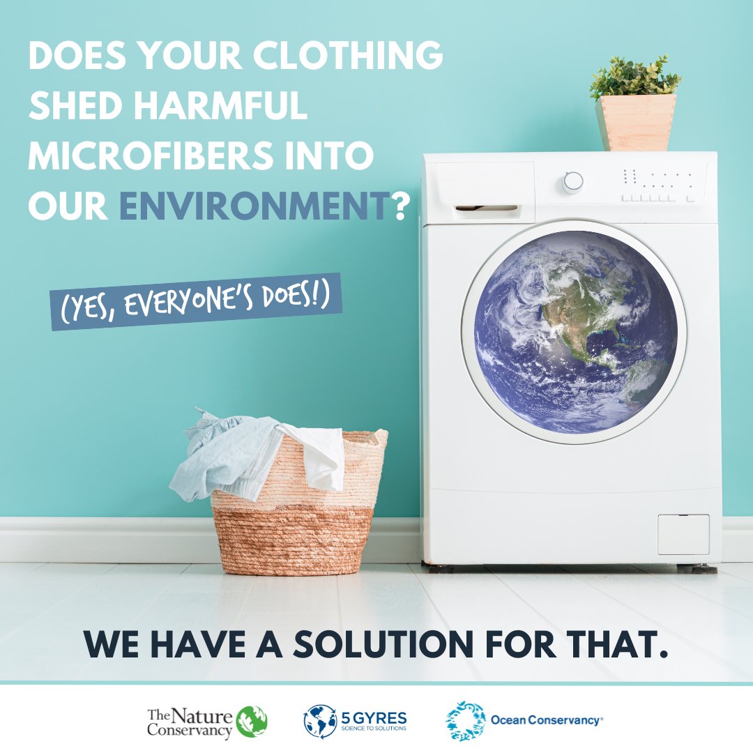 🚨CALIFORNIA🚨

CA is once again leading the nation in addressing the plastic pollution crisis at the source, this time w/ #microplastics from washing machines.

Join us in urging Gov. <a href="/GavinNewsom/">Gavin Newsom</a> to sign #AB1628 into law! #WashSmarter
bit.ly/3LeDocI
