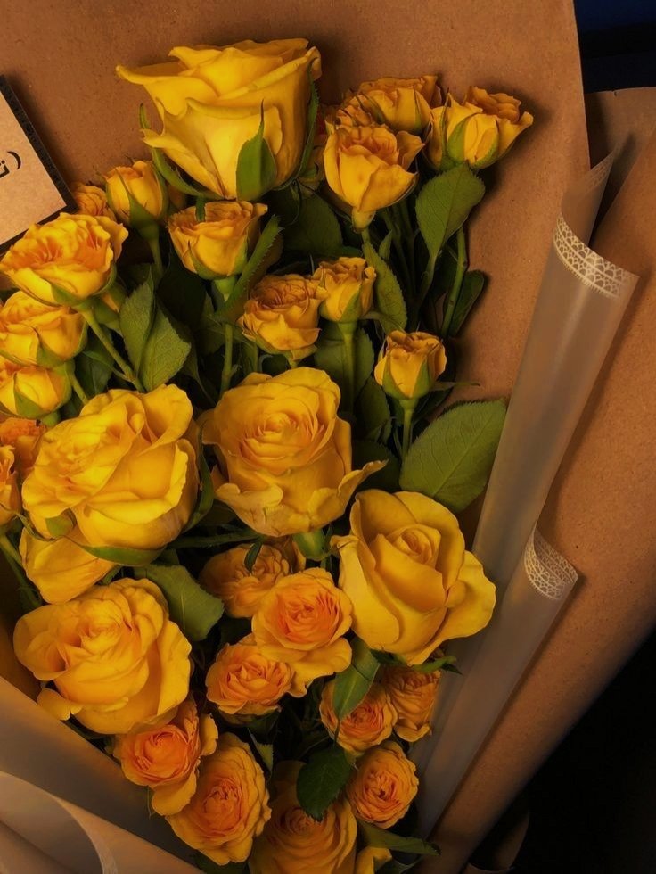 𝕸𝐀𝐃𝐀𝐌𝐄 𝕳𝐘͟𝐃͟𝐑͟𝐀. | ᴀɴɴɪᴋᴀ ᴏʟᴅ!ᴀᴜ. tweet media