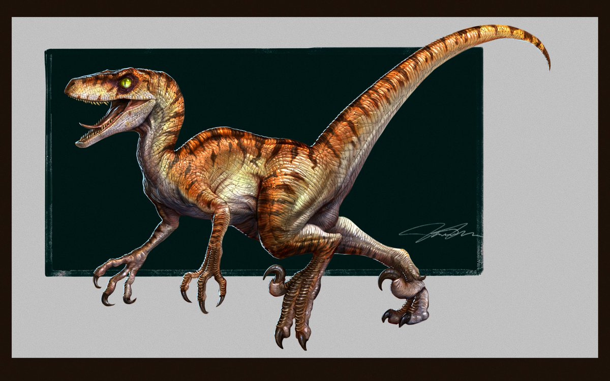 My #TheLostWorld #LowlandMaleVelociraptor illustration intended for @JurassicWorld #Dominion @Dinotracker website.  Never really had a place, so put it off until recently.