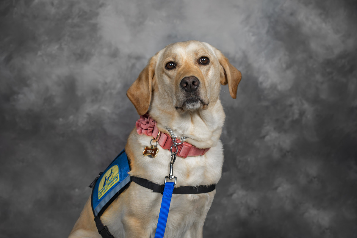 (1/3) A round of a-paws feet to the inaugural class of American Cancer Society PAWS program grantees! Help us congratulate Lois (<a href="/chocchildrens/">CHOC</a>), Brea (<a href="/AllChildrens/">Johns Hopkins All Children's Hospital</a>)...