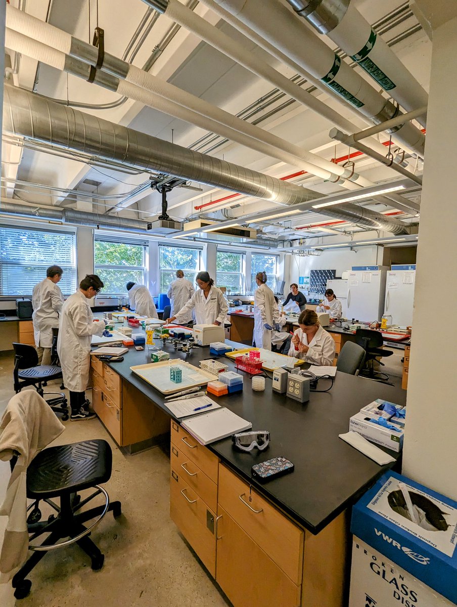 MEPjoe's tweet image. My fav @MBL_SES microbial methods lab, bacterial productivity using 14C-Leucine! @MBLScience 
#14C #radioisotopes #bacterialProductivity #SES
