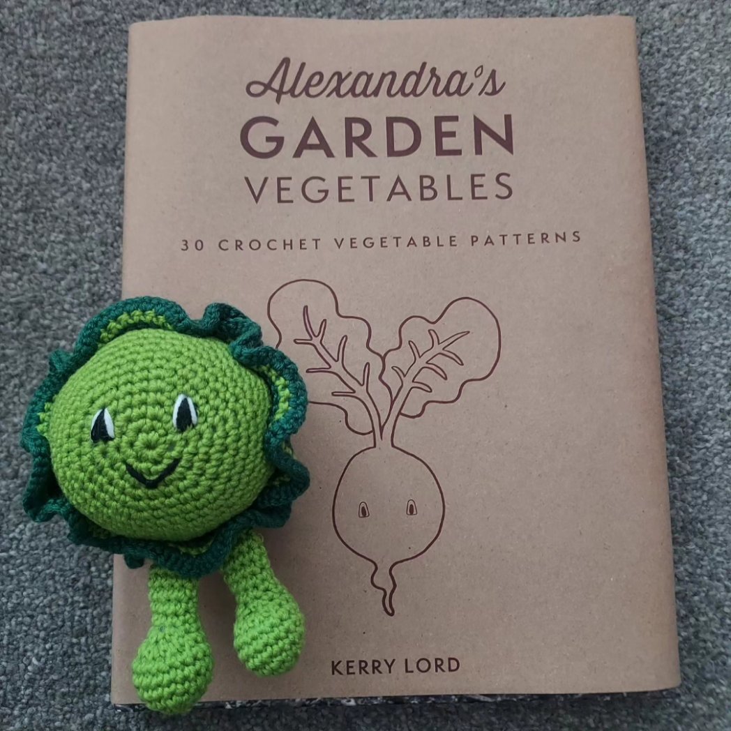 cardsbychrissie's tweet photo. The Cherry Tomato now has a friend - he is Brussel Sprout.
When you question why the 2 vegetables you've crocheted first are ones you don't like to eat 🤔
The question is which vegetable is next for the hook?
#toftuk
#alexandrasgarden
#alexsgarden
#crochet
#crochetfun https://t.co/5GgJvM5VYM