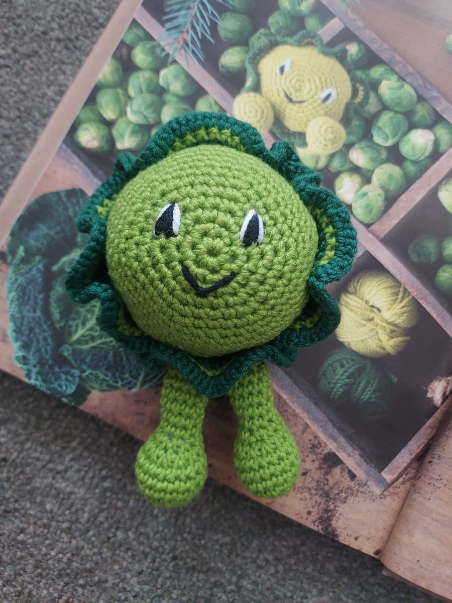 cardsbychrissie's tweet photo. The Cherry Tomato now has a friend - he is Brussel Sprout.
When you question why the 2 vegetables you've crocheted first are ones you don't like to eat 🤔
The question is which vegetable is next for the hook?
#toftuk
#alexandrasgarden
#alexsgarden
#crochet
#crochetfun https://t.co/5GgJvM5VYM