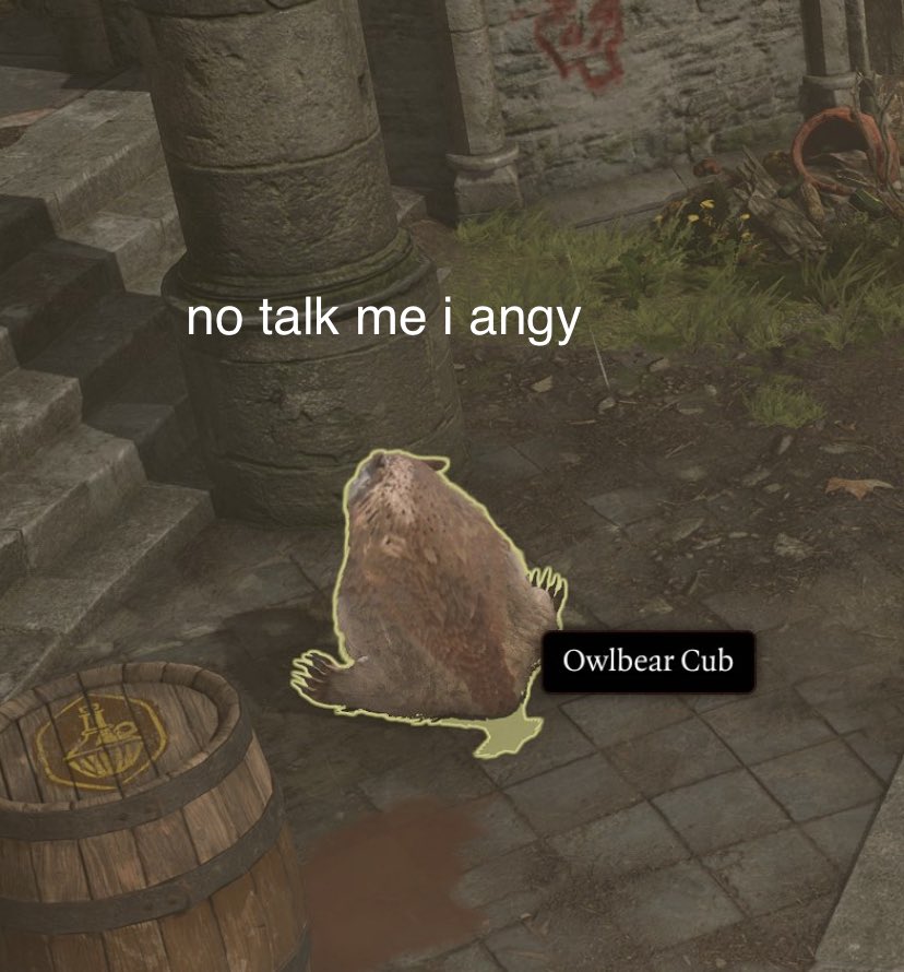 byletri's tweet photo. new owlbear meme just dropped https://t.co/mBpPsj49DU