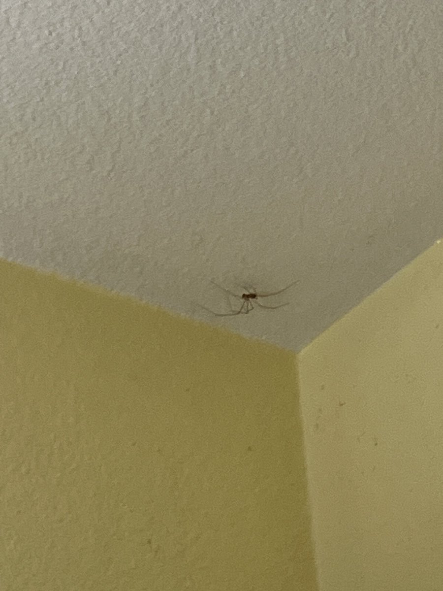 And that’s when I decided…. It’s time to burn the house down.