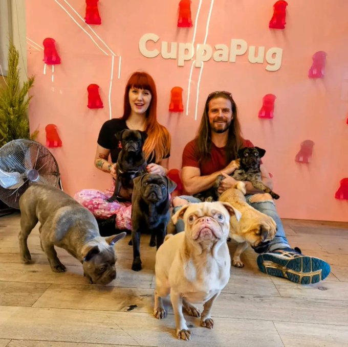 PUGtastic time at @cuppapug with @MisuEeveeSquad and the boys.  SOOOOOO many cuddles - serotonin BOOST<a class="tags" target="_blank" title="On Twitter" href="/?out=eyJ0eXAiOiJKV1QiLCJhbGciOiJIUzUxMiJ9.eyJpYXQiOjE3MjQxMzEzNDUsImlzcyI6InR3cG9ybnN0YXJzLmNvbSIsIm5iZiI6MTcyNDEzMTM0NSwiZXhwIjoxNzU1NjY3MzQ1LCJyZWRpcmVjdF91cmwiOiJodHRwczovL3R3aXR0ZXIuY29tL2N1cHBhcHVnIn0.W0aGwzKvFYA-yuQ3dMCGhwirxyISAFzbfB5Q4jnfhmFUT3235XDhM0R7kRzaF3sPzdttqwFtR4-YqFWo6NbPbQ">@cuppapug</a><a class="tags" target="_blank" title="On Twitter" href="/?out=eyJ0eXAiOiJKV1QiLCJhbGciOiJIUzUxMiJ9.eyJpYXQiOjE3MjQxMzEzNDUsImlzcyI6InR3cG9ybnN0YXJzLmNvbSIsIm5iZiI6MTcyNDEzMTM0NSwiZXhwIjoxNzU1NjY3MzQ1LCJyZWRpcmVjdF91cmwiOiJodHRwczovL3R3aXR0ZXIuY29tL01pc3VFZXZlZVNxdWFkIn0.HB7veUoSip5HhBq0aBbEnuaEedIK3nviqEV9c31foPKUtRTX6O6GO3Llddy1eFQpnXluVduhNAhVsGYO1jfdLg">@MisuEeveeSquad</a><a href="/tag/pug"class="tags"><span>#pug</span></a><a href="/tag/dogs"class="tags"><span>#dogs</span></a><a href="/tag/cuddle"class="tags"><span>#cuddle</span></a><a href="/tag/dogcafe"class="tags"><span>#dogcafe</span></a>