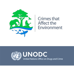 UNODC Regional Office for Southern Africa tweet media