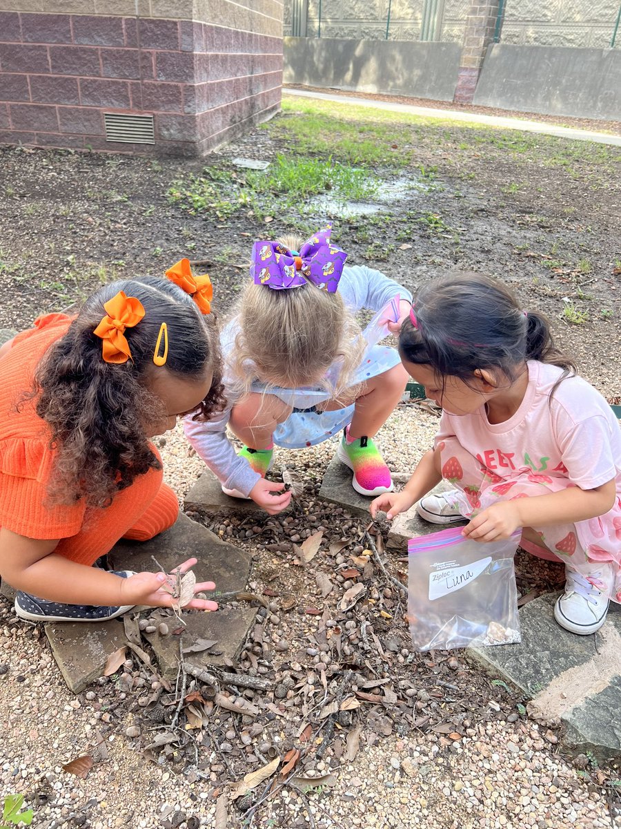 MrsBurnsPreK's tweet photo. Observing and describing on our nature walk this morning! 🍂🍀🌼 @NISDLeonSprings https://t.co/76g7gaPMfm