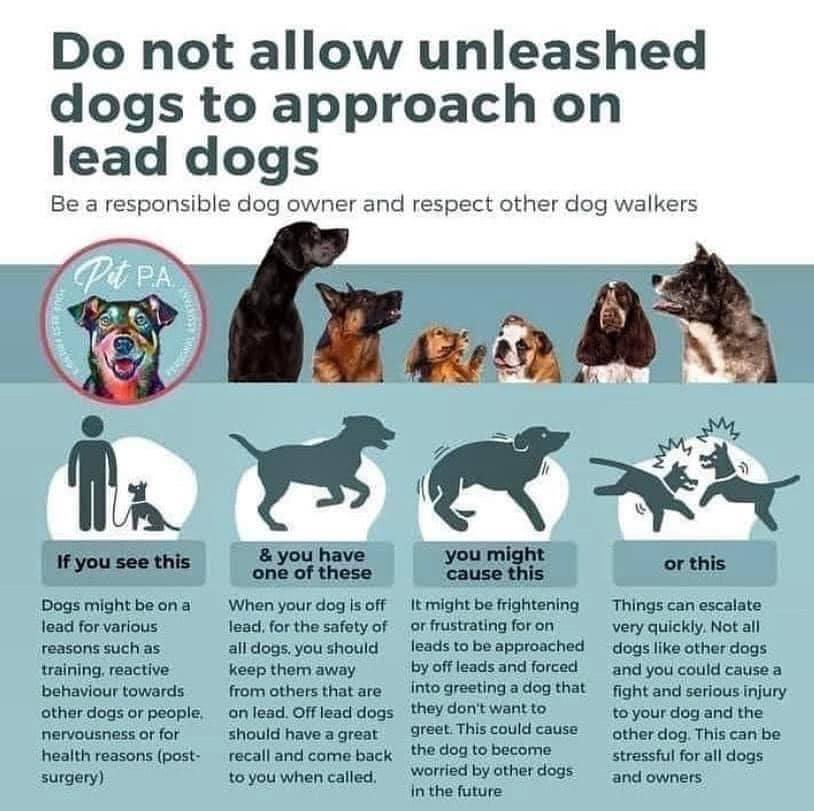 Please be a responsible dog owner and respect other owners and their dogs, shouting "It's okay mine is friendly" as yours is careering towards another dog that is under complete control/on a lead is just not acceptable.