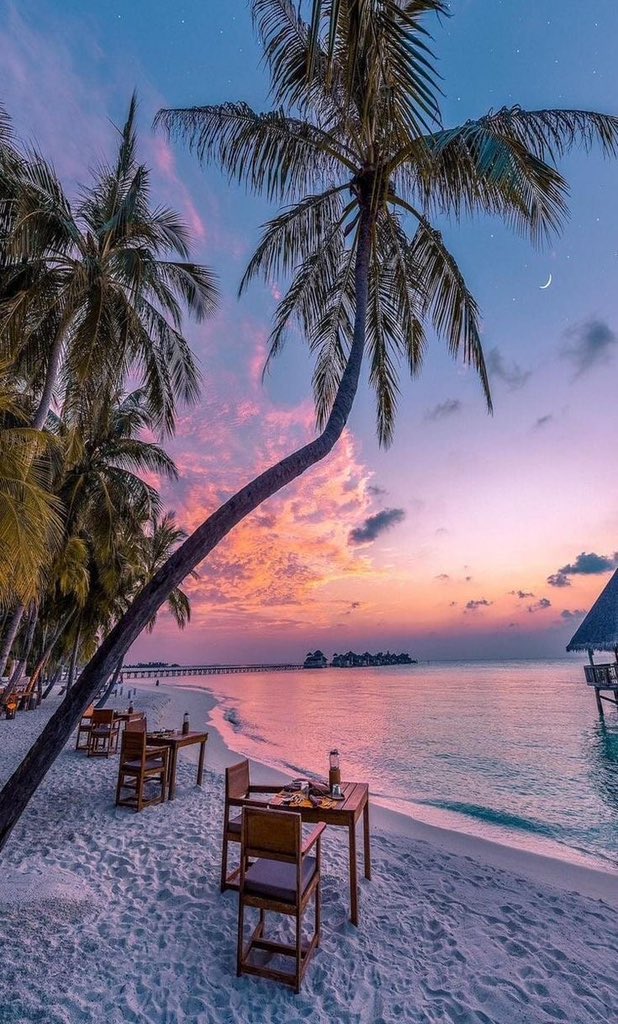 TravelDagger's tweet image. "Maldives Beaches: Where each grain of sand, shade of blue, and gentle breeze combine to create an idyllic paradise in the heart of the Indian Ocean. 🏝️🌊🇲🇻 #Maldives #BeachParadise"