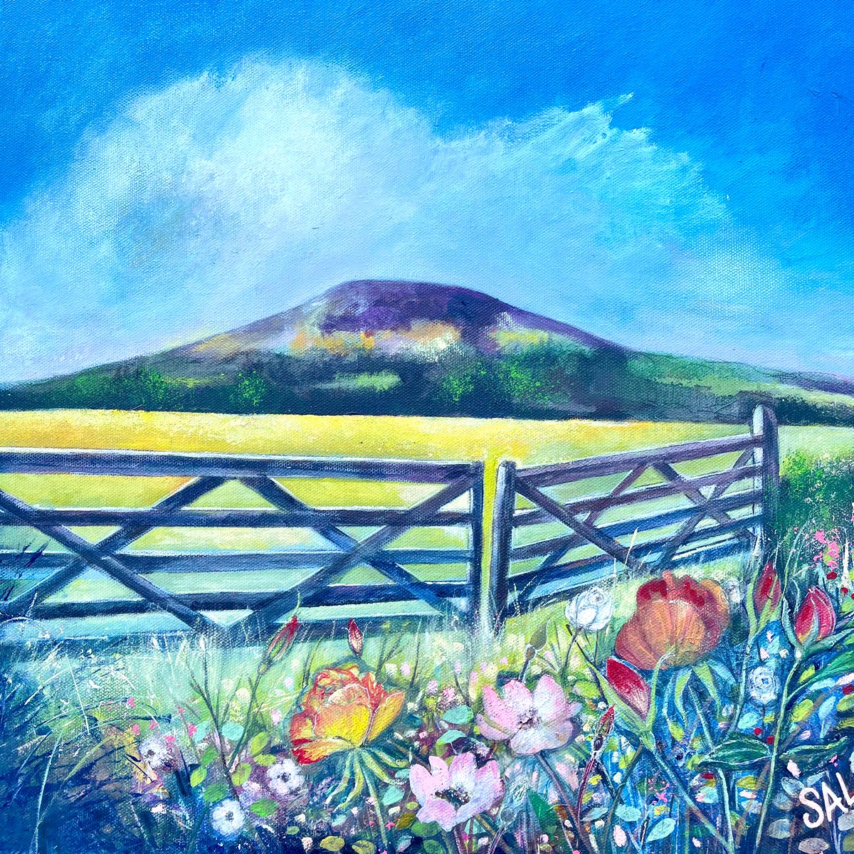 The Eildons from the Boglie Burn, Melrose. #landscape #landscapepainting #art #artist #ArtistOnTwitter #painting #paintingoftheday #painting365 #colourfulart #wildroses