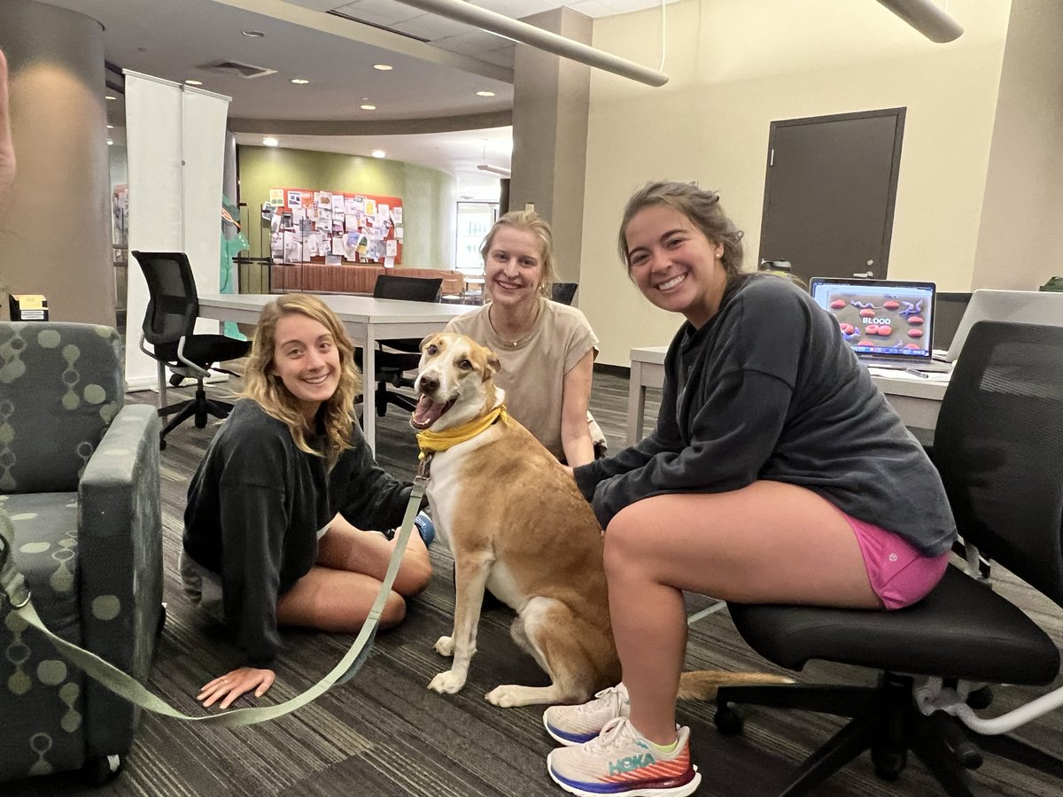 New Program Partner Alert 📚🏢 We are thrilled to begin recurring visits with students at UAB Lister Hill Library (@uablibraries) ! Any student with a UAB ID can come see us from 2-3pm on the second Wednesday of the month! Hope to see you there for some furry stress relief! 😌🐾