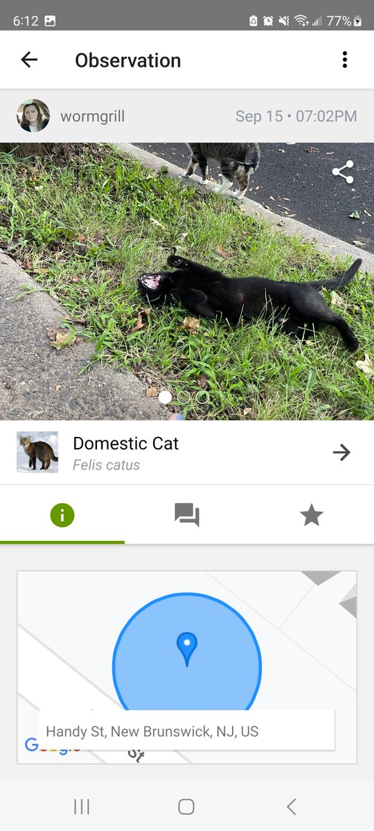 From Here to Bitternity tweet media