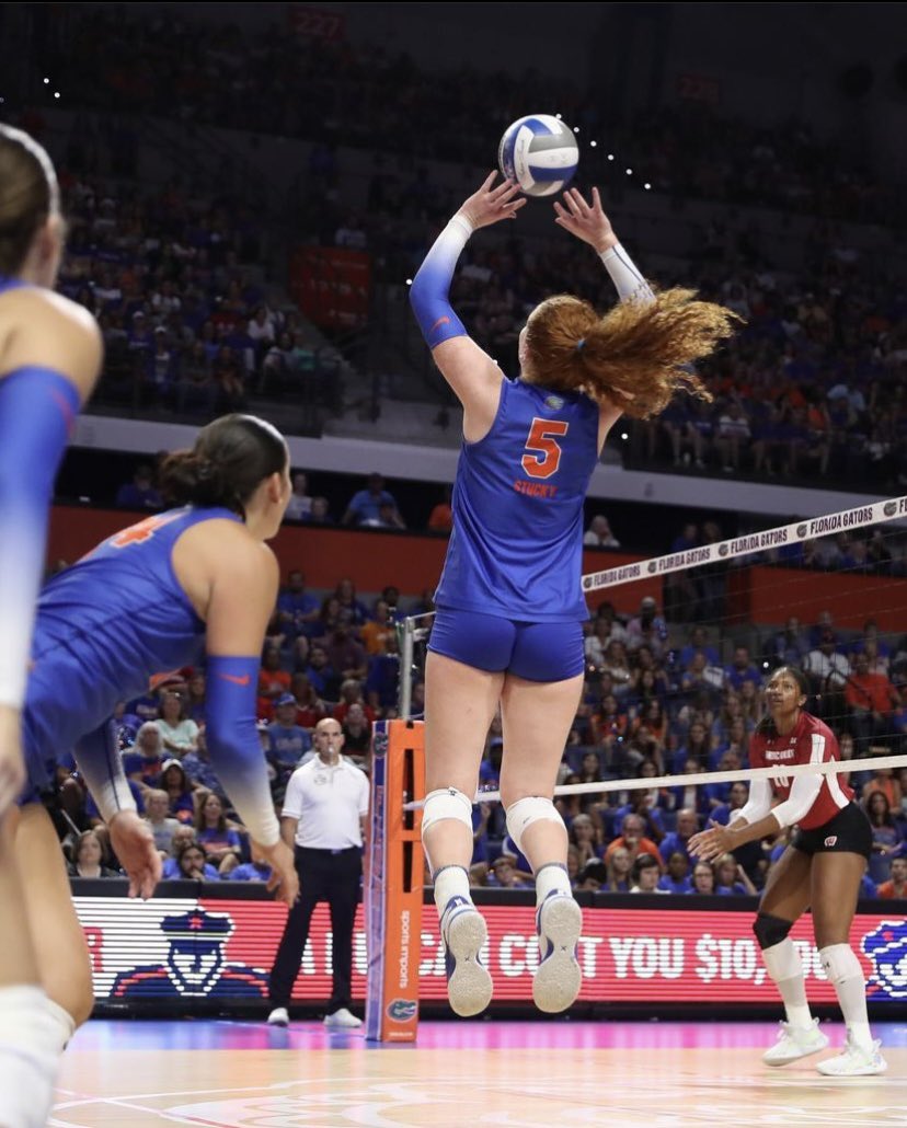 Gators Volleyball tweet media