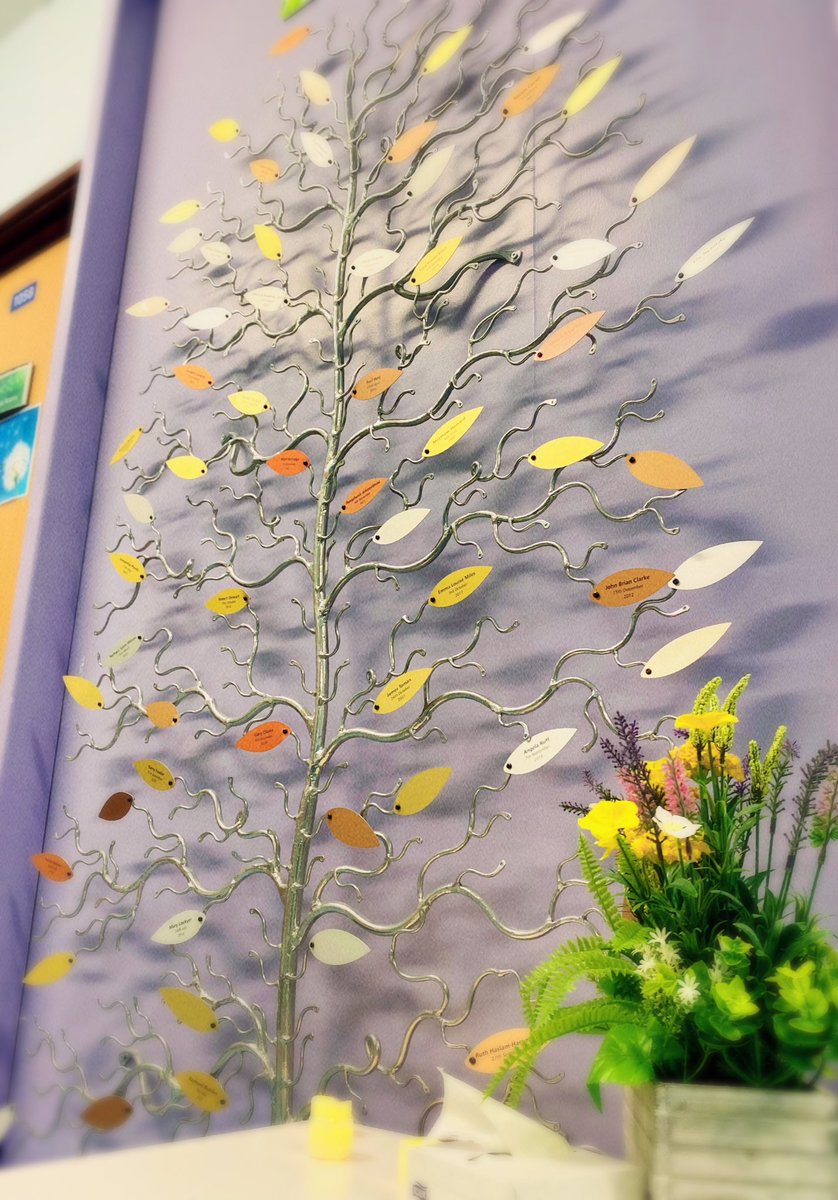 CriticalCareBas's tweet photo. A beautiful and heartfelt ceremony today in the WellBeingHub and by the memorial tree in Basildon CCU. #OrganDonation families were able to honour and remember their loved ones and celebrate the generous gift of life that was given. 💕
@SujaGeorge08 @M_J_Hopkins @dawnmpatience https://t.co/YqBehjD2S4