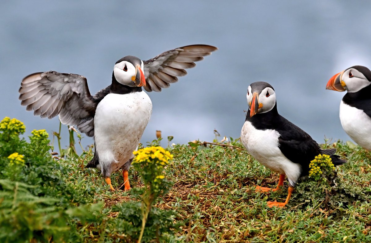 Carl Bovis tweet media