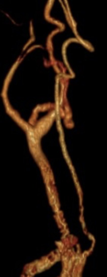 Lili Sadri, MD tweet media