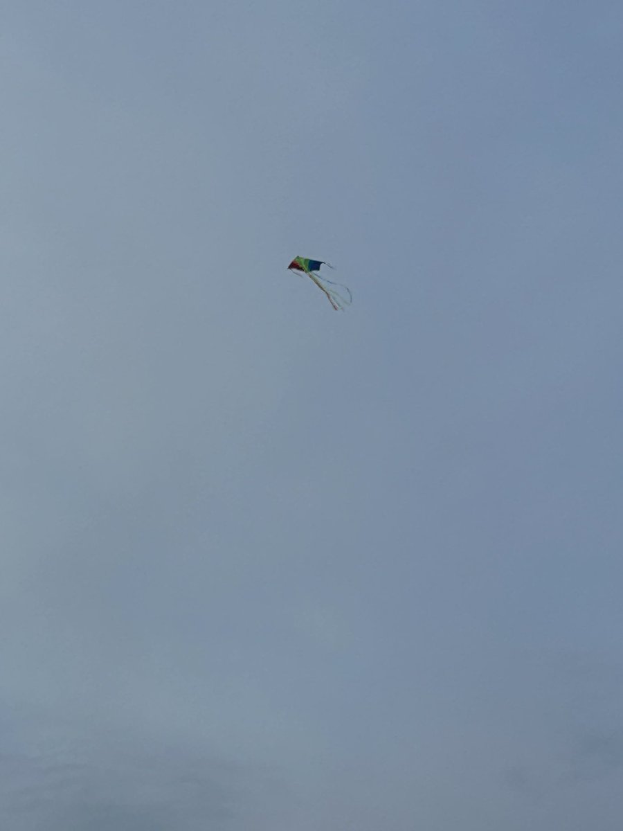 mdlgrounds tweet media