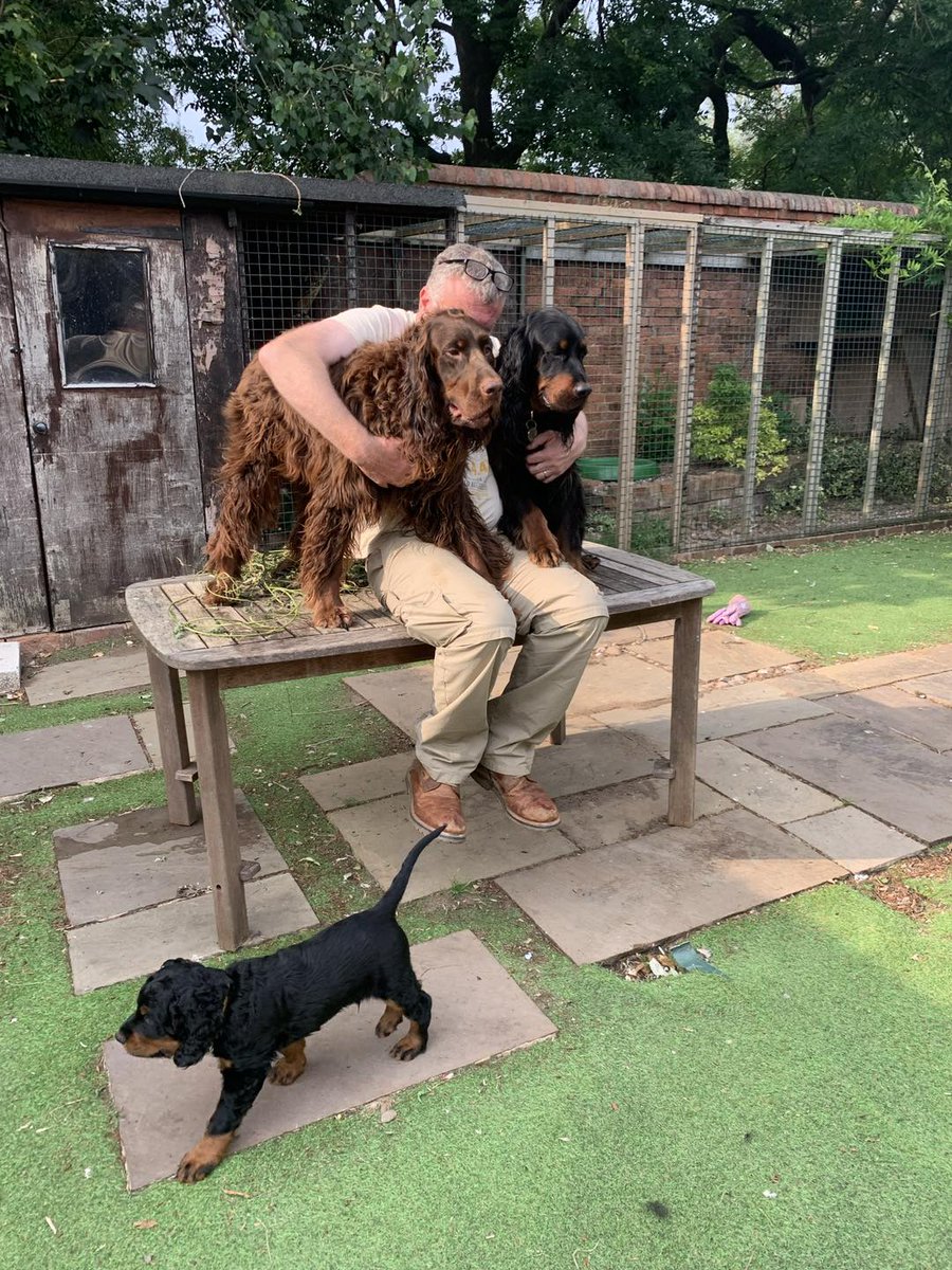 #WorldGratitudeDay What are you grateful for?
This bunch is who I am grateful for <3