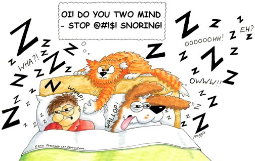 CavalierMatters's tweet photo. Why does my Cavalier snore? 

It is one of the typical signs of Brachycephalic Airway Obstruction Syndrome. Ask your vet to assess your Cavalier. 

See: https://t.co/3A1nZOrWm6

#hereditarydiseases #cavalierhealth  #cmsm #keepyourpetshealthy #ckcs https://t.co/bhjzxbPf42