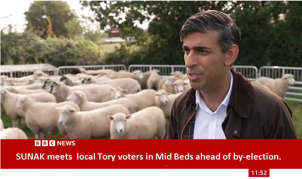 Meanwhile somewhere in Mid Beds.
#Sunackered #ToriesOut441 #TorySheep
