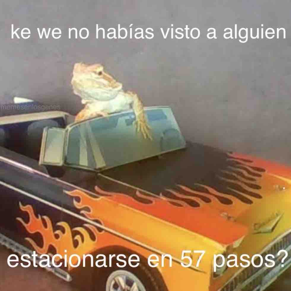 El Guarromántico tweet media
