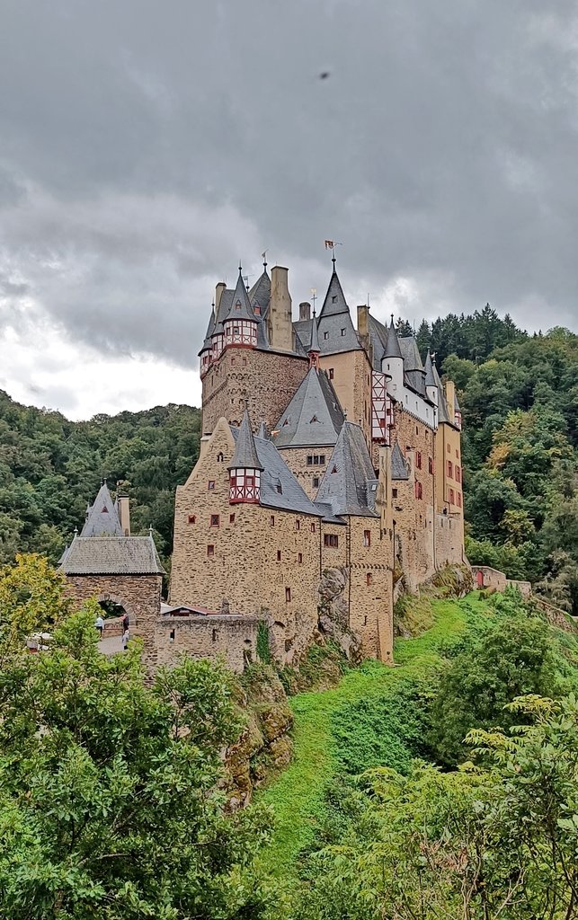 Seonaid Webb MBE tweet media