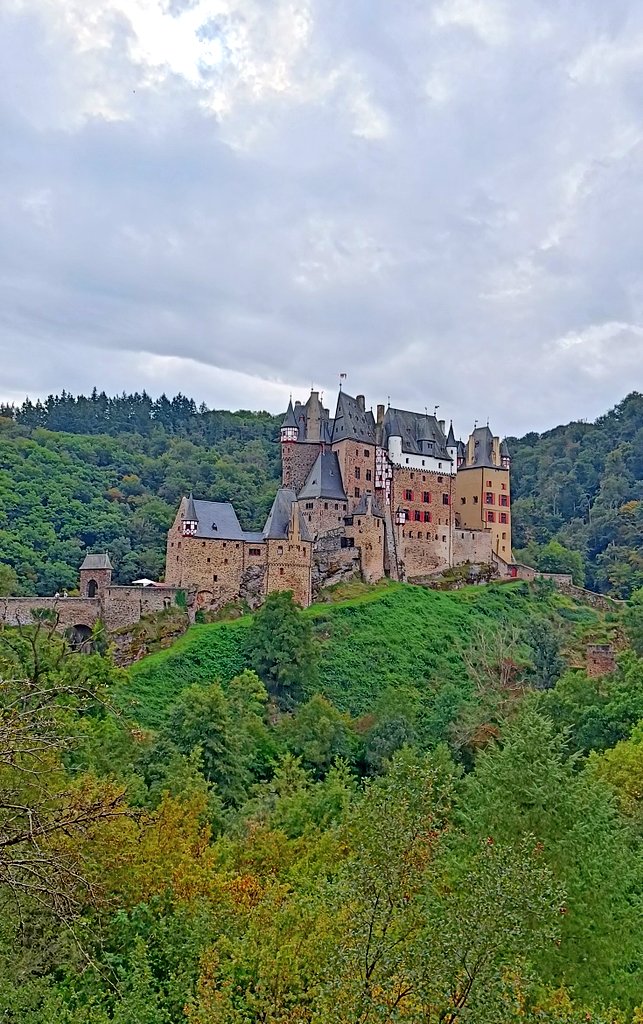 Seonaid Webb MBE tweet media