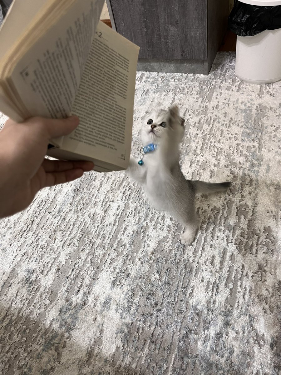 Lobars19's tweet photo. Reading together 🤍 https://t.co/eYjqWKQENQ