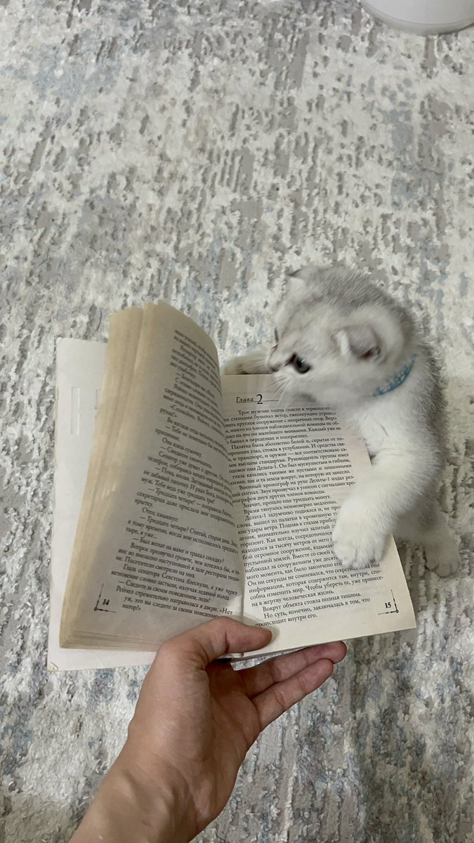 Lobars19's tweet photo. Reading together 🤍 https://t.co/eYjqWKQENQ