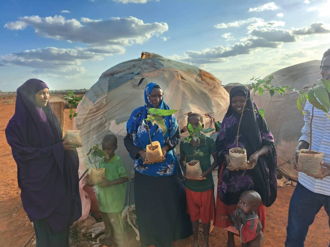 SOGPA2's tweet photo. In solidarity with #PeaceDay2023, @SOGPA and her partners planted #TreesofPeace in Baidoa, Somalia's internal displaced camp. #ClimateChange  and #conflict   have displaced millions in Somalia, and these trees aim to give hope for resilience and environmental conservation. https://t.co/t8qBDiSfdP