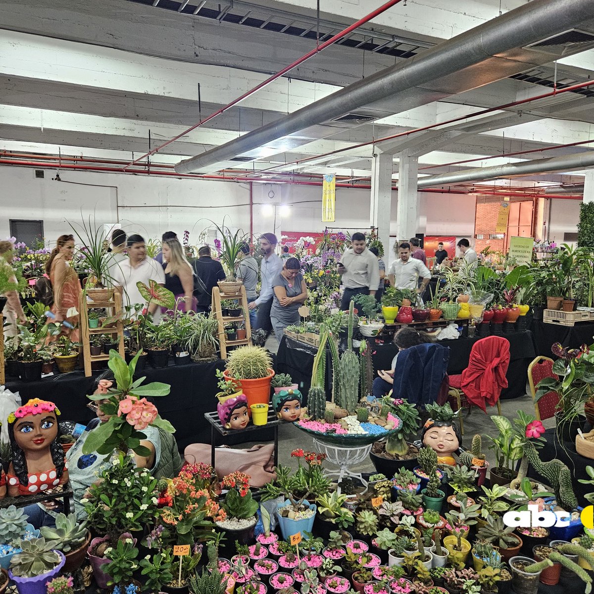 Romance985's tweet photo. #BELENALASIESTA desde la gran #ExpoFlora 💐 en el centro de convenciones del Mariscal 🌺
Vení date una vueltita hasta las 21hs 🙌
#ABCFM985 #SoloÉxitos 💐 https://t.co/FBjqjk0znv