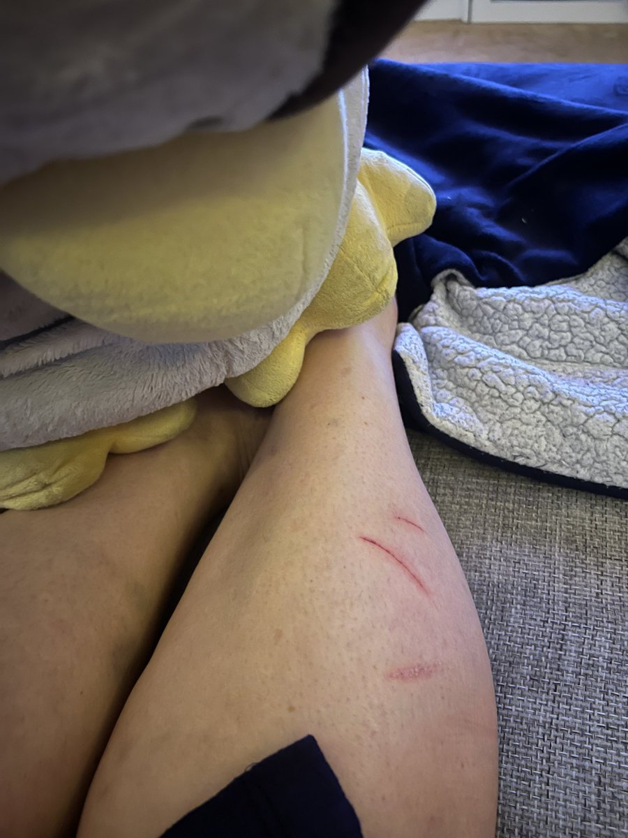 Emily & Tux🇮🇱 tweet media