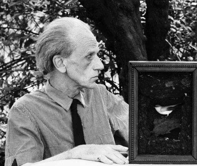 'The Dovecote Express' Poder leer al fin algo de Hatoyama <a href="/IkukoHatoyama/">鳩山郁子 Ikuko Hatoyama</a> y que cumpla completamente las expectativas💖 Obra única, rica en metáforas y con un hermoso arte.
Me ha hecho verme un documental sobre las palomas militares e investigar sobre el artista Joseph Cornell 😹