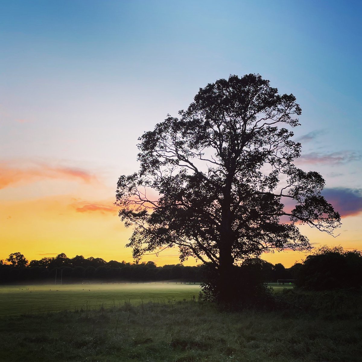 deiansound's tweet image. #pontcanna