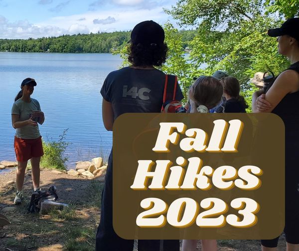 The Fall 2023 Sandy Lake guided hike dates are here!
Sat Sept 23rd morning
Sun Oct 1st afternoon
Want to learn more about flora & fauna, or brand new to the area and want to learn what this amazing park has to offer - the guided hikes are free. register at sandylakecoalition.ca/hikes