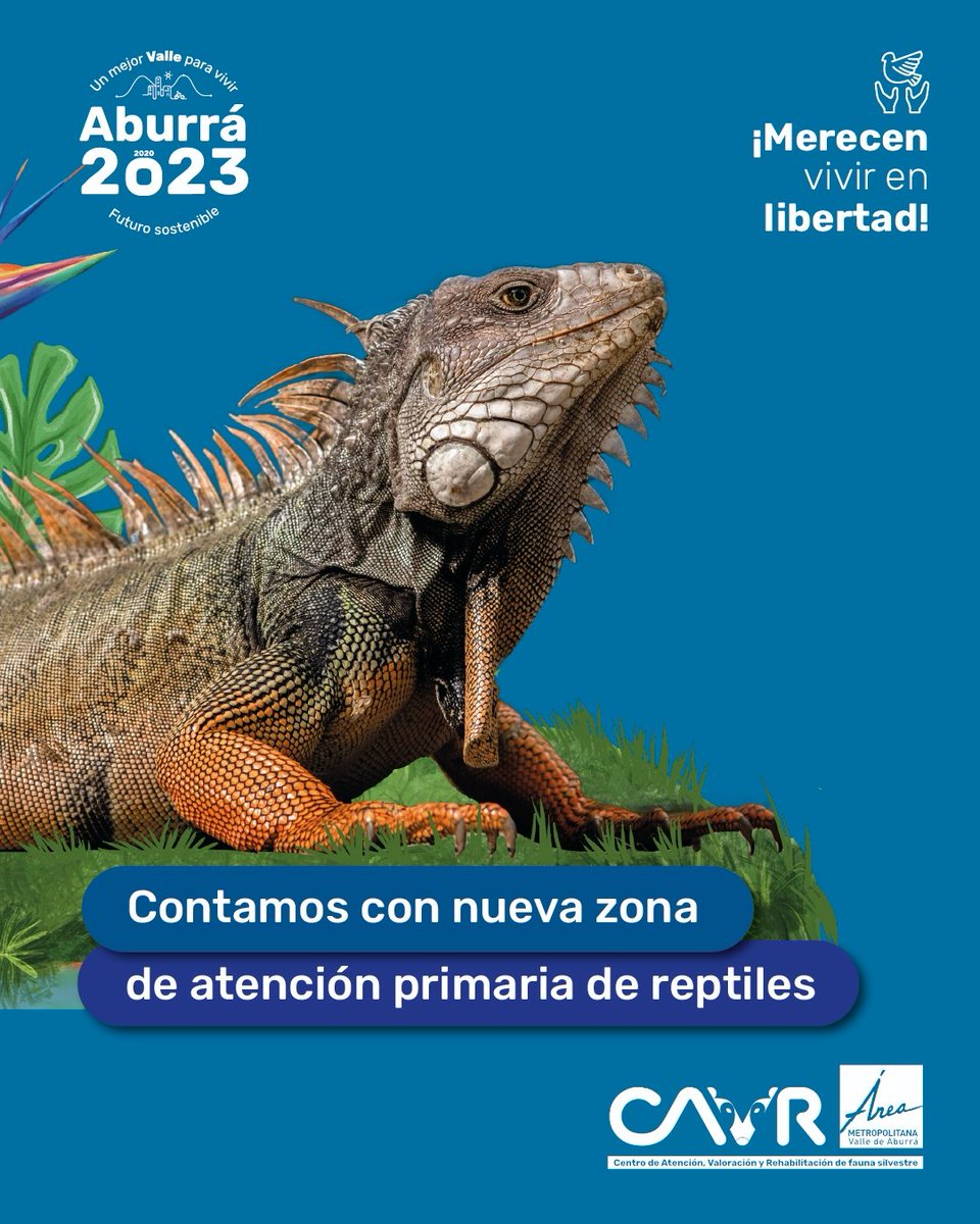 Areametropol's tweet photo. 💚En el #CAVR estamos comprometidos con nuestra fauna silvestre 🐍🐢, con el regreso a su hábitat natural y con la construcción de un #FuturoSostenible. 
 ⬇️⬇️ https://t.co/NSoJq68lL5