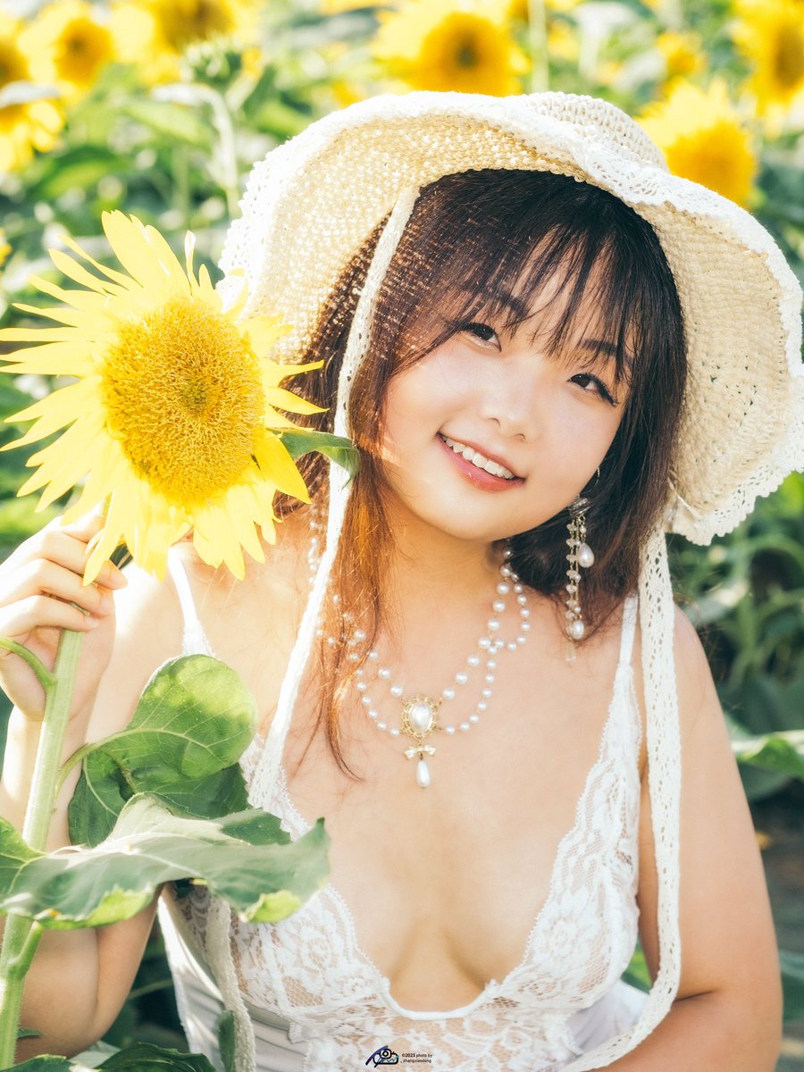 *向日葵*ページ✩.*˚ 向日葵写真