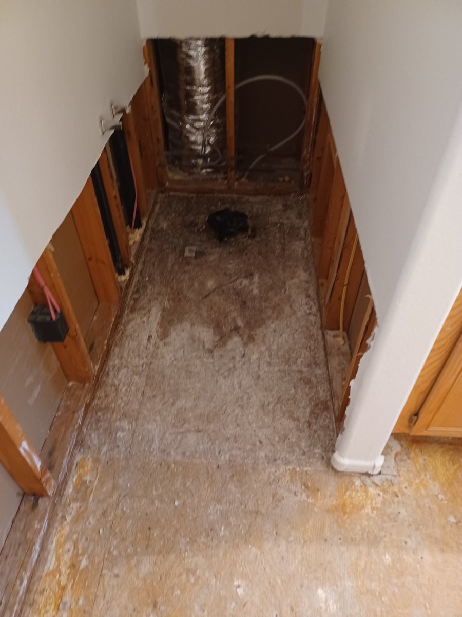 #waterdamage #flood #structuraldrying #lasvegas #henderson 
flood-dry-out.com