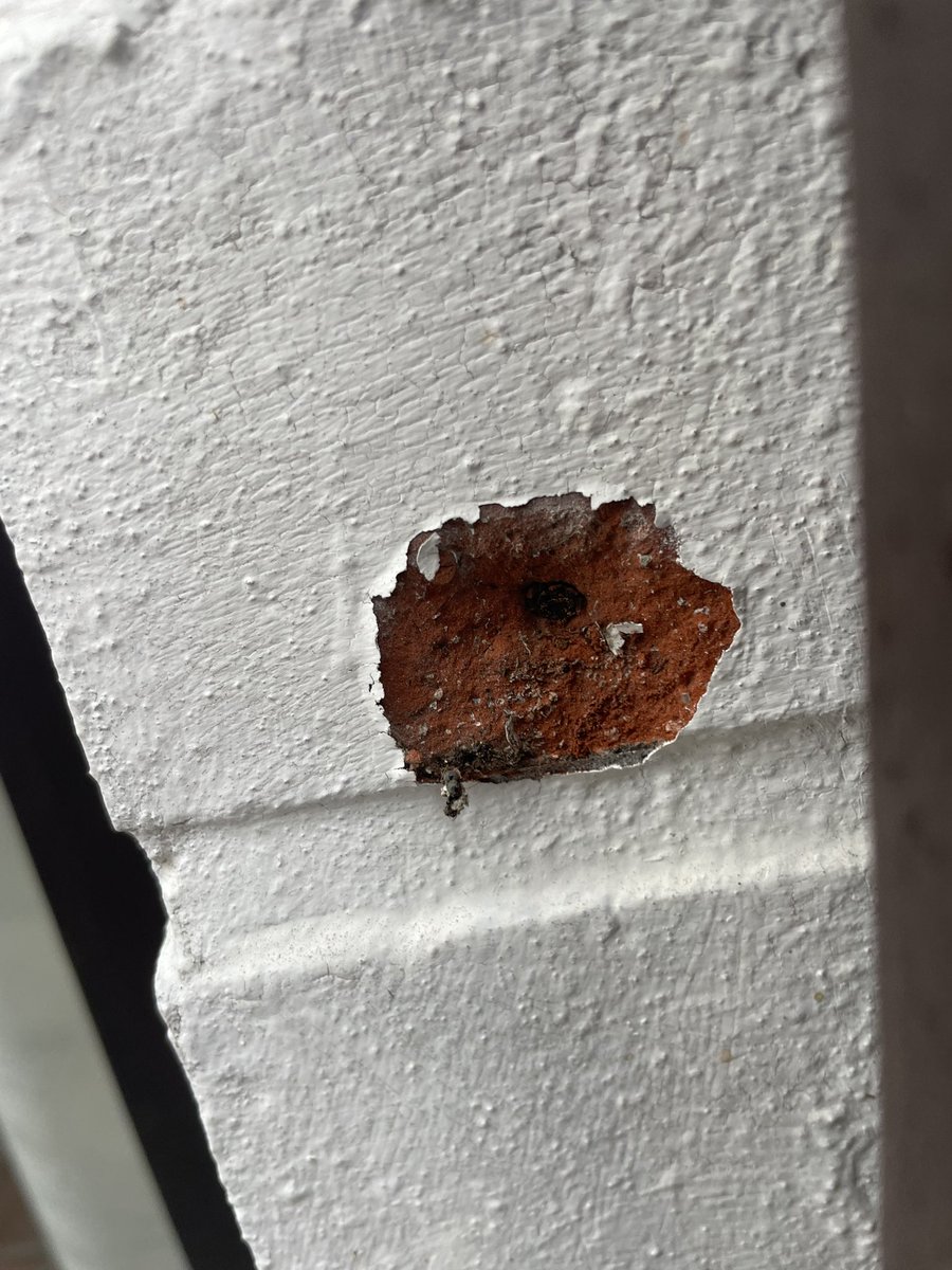 Vraagje aan de verbouwers/klussers/architecten op dit medium. 

Huis gaan bekijken en dit is de gevel. Foto 1 hoe het er uitziet, foto 2 als je met je nagel er even aan rammelt. Het lijkt alsof de baksteen springt? Ook, overal precies zo’n zwart puntje. 

Iemand een idee? #dtv