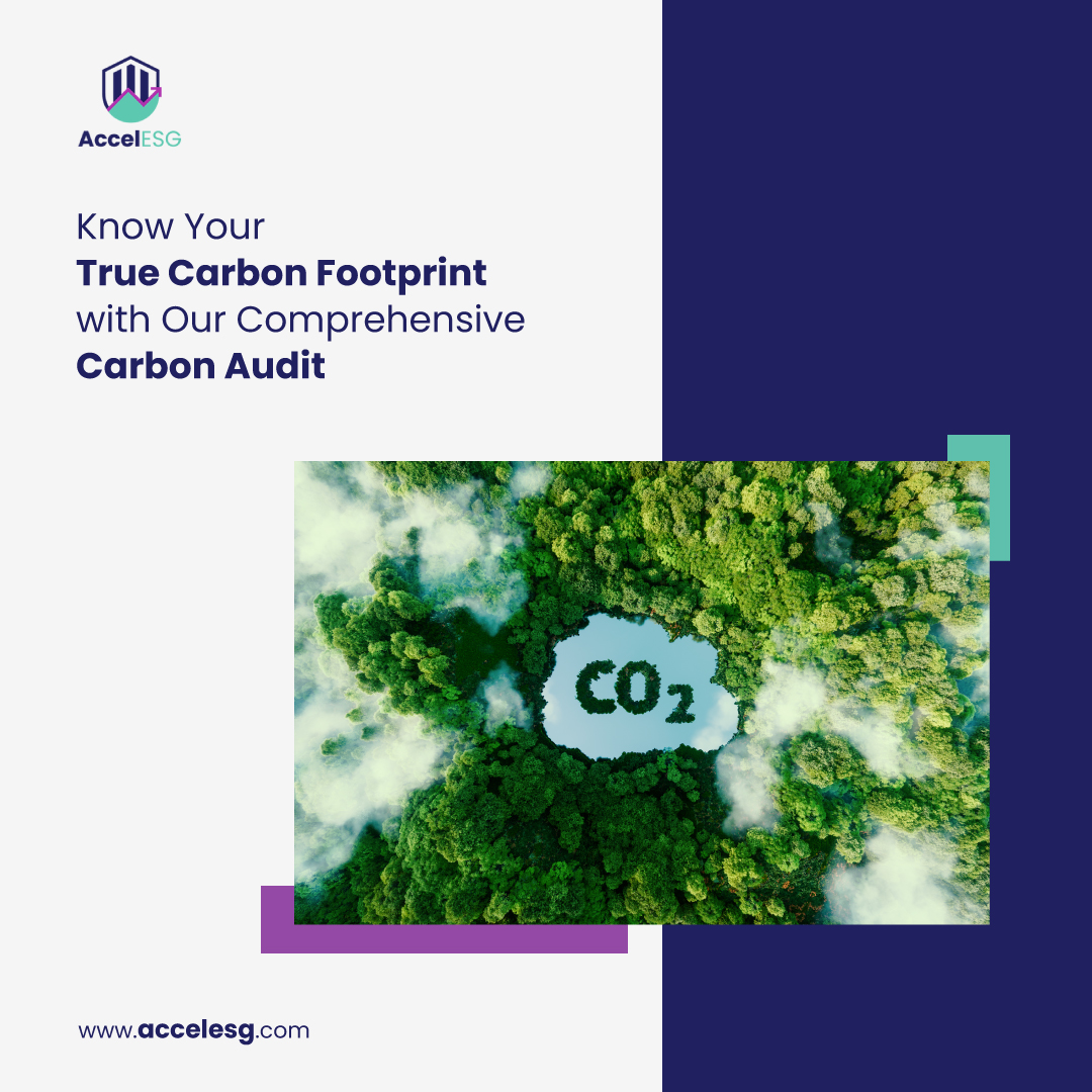 accel1horizons's tweet photo. Investigate the true extent of your carbon footprint and take action to reduce it with confidence through our comprehensive carbon audits.

Contact us to know more: https://t.co/1i2n04fFjP

#CarbonFootprint
#CarbonAudit
#NetZeroEmissions
#NetZero2050
#CarbonEmissions
#ESG https://t.co/5pIYInAGu0