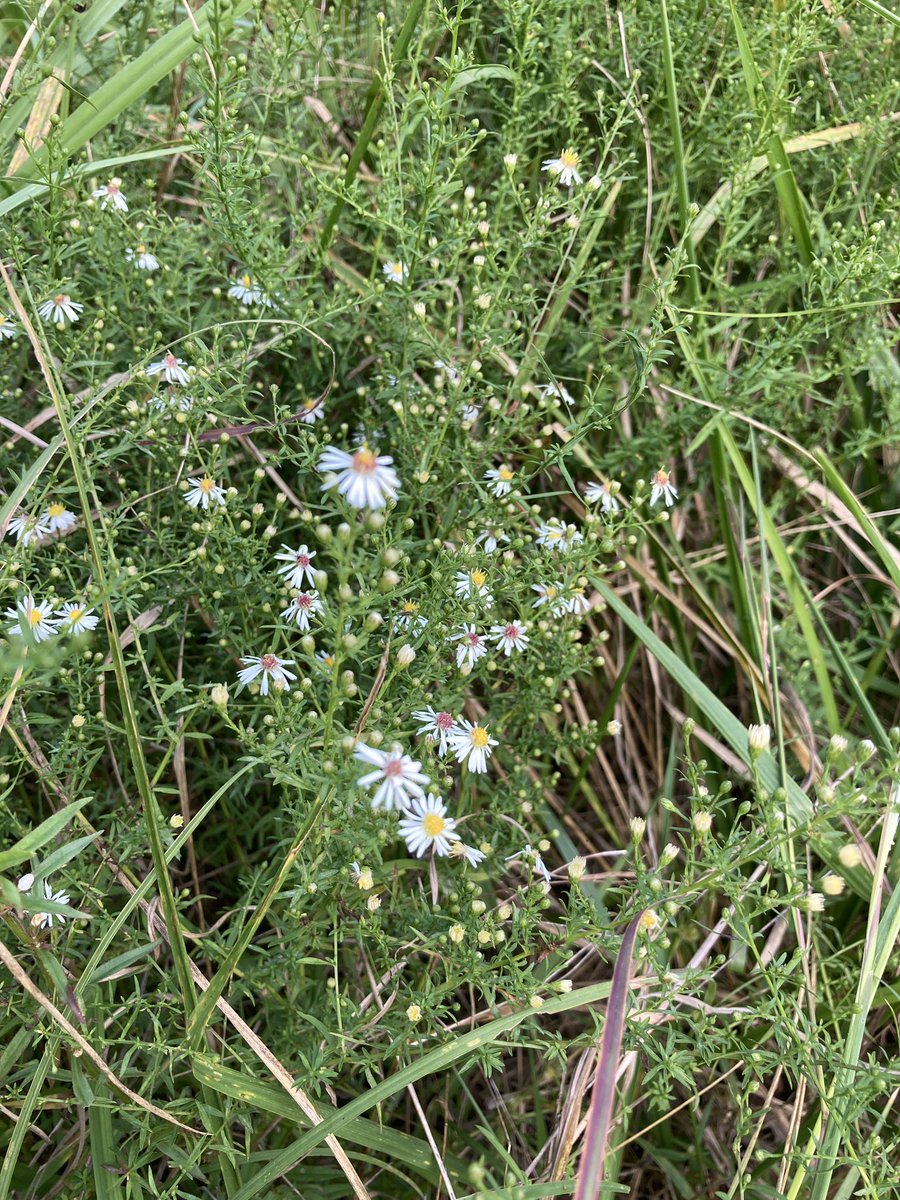 Yonder Farm tweet media