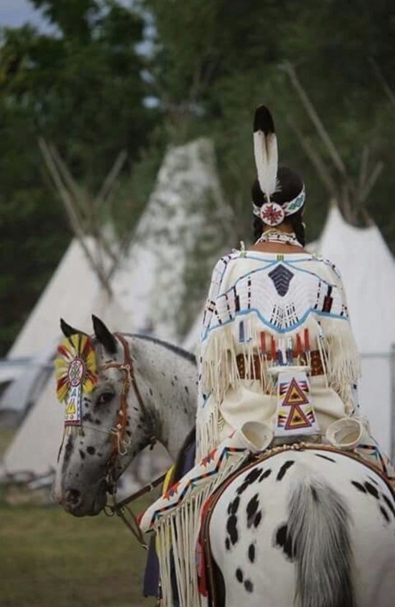 Native3rd's tweet photo. “The strongest people are not those who show strength in front of the world but those who fight and win battles that others do not know anything about.” 
— Jonathan Harnisch, https://t.co/jKSbT0ebEK