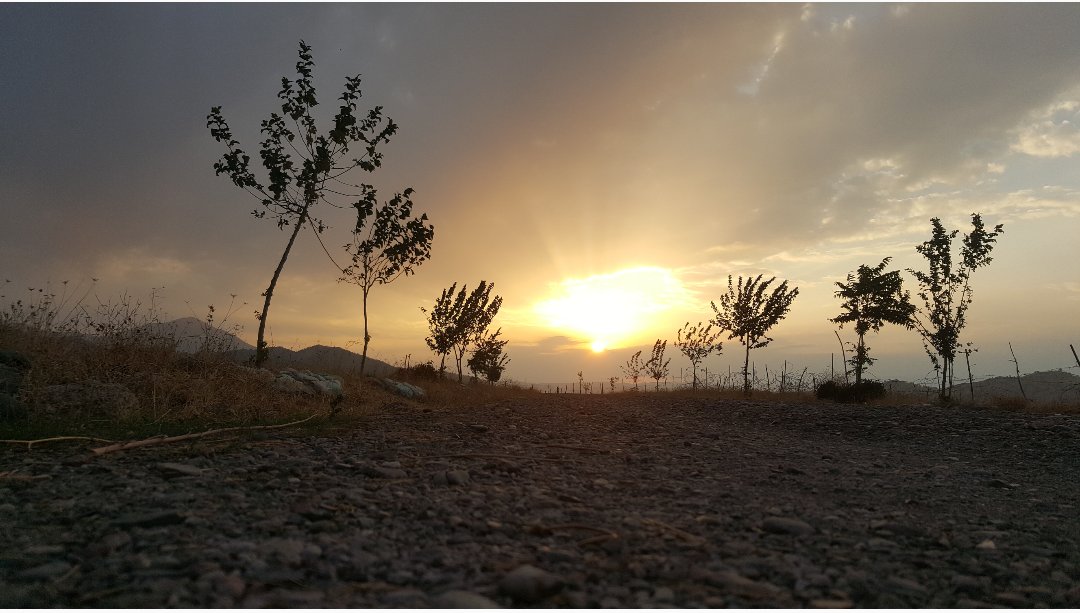 Ger tu bixwazî welatparêziya kesekî nas bikî, lê binêre ka çiqasî li zimanê xwe xwedî derdikeve

Osman Sebrî