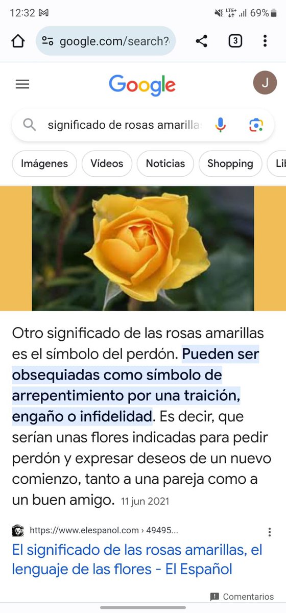 Yo, viendo el montón de historias de flores amarillas