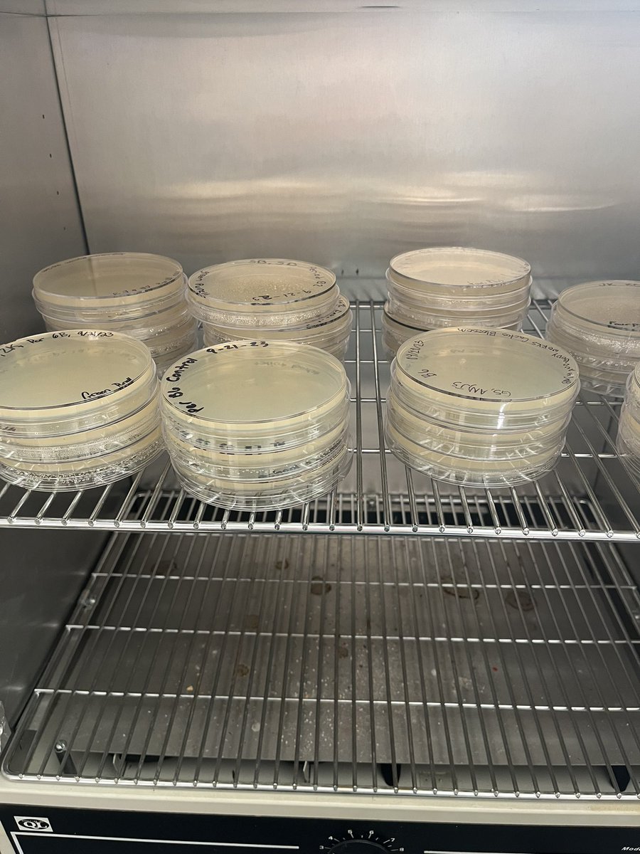 Melissa Bryant tweet media